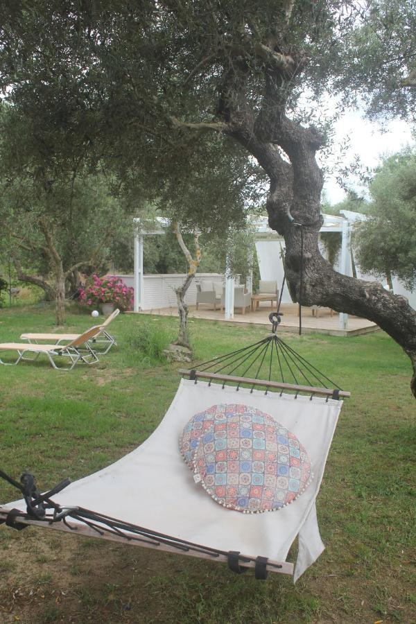 Rodis Studios Tsilivi  Exterior photo